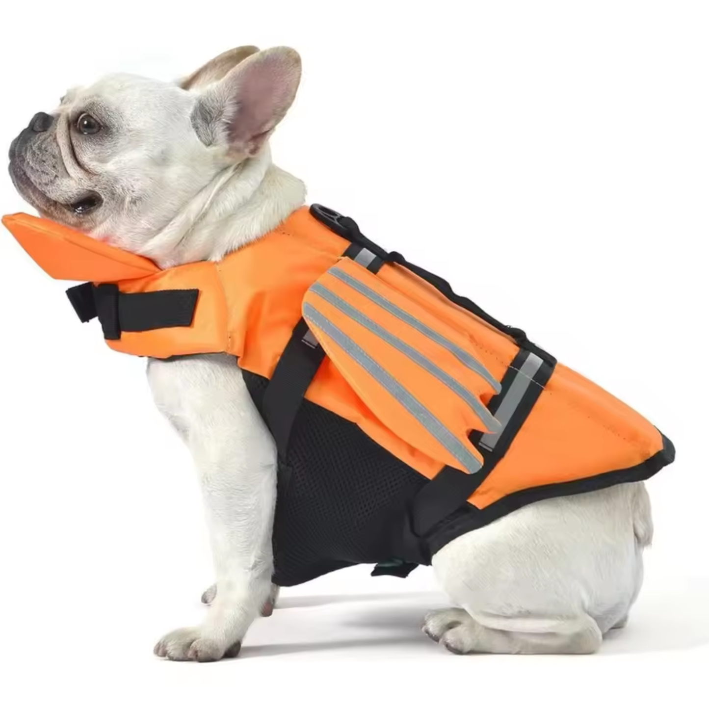 FloatGuard