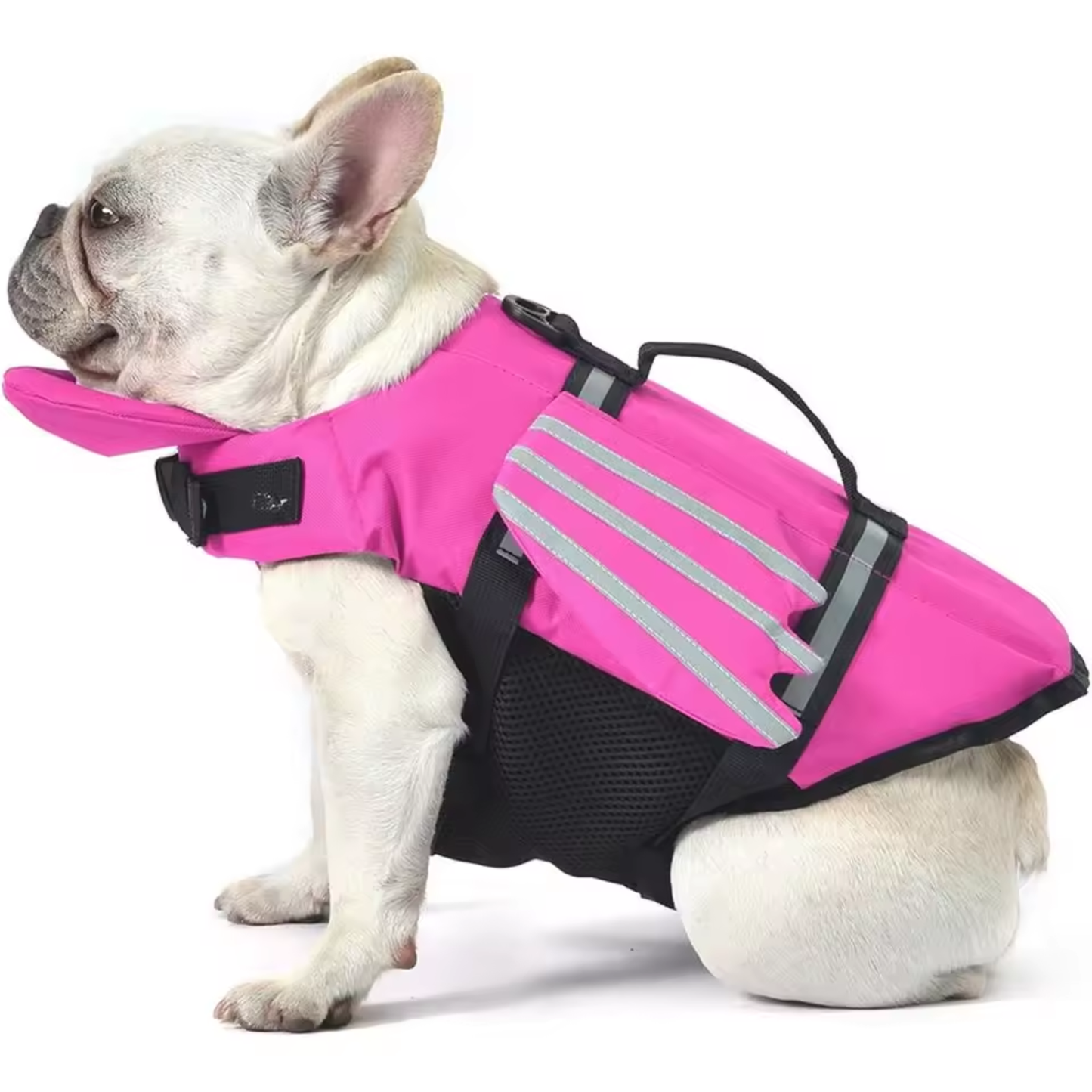 FloatGuard